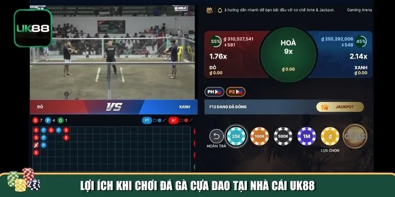 Ưu điểm của đá gà cựa dao UK88 Ưu điểm của đá gà cựa dao UK88