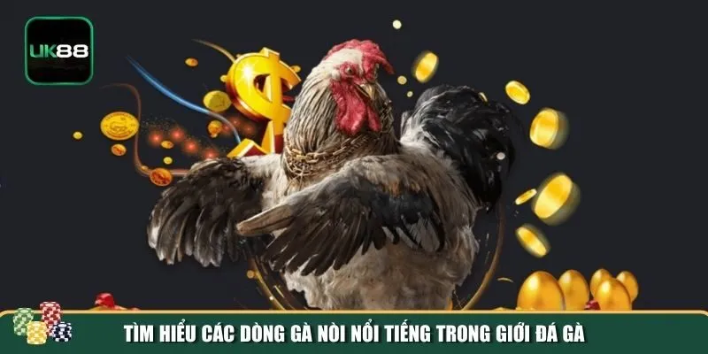 Các giống gà trong đá gà nòi Các giống gà trong đá gà nòi