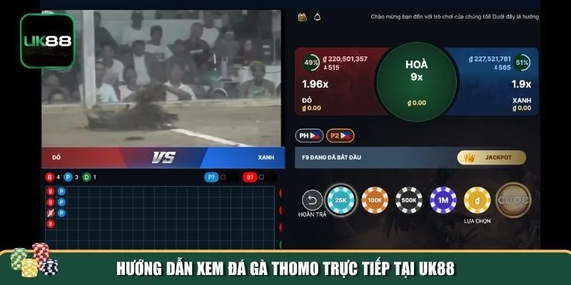 Tham gia cược đá gà Thomo tại UK88 Tham gia cược đá gà Thomo tại UK88