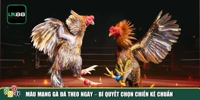 Bí quyết chọn màu mạng gà đá theo ngày Bí quyết chọn màu mạng gà đá theo ngày