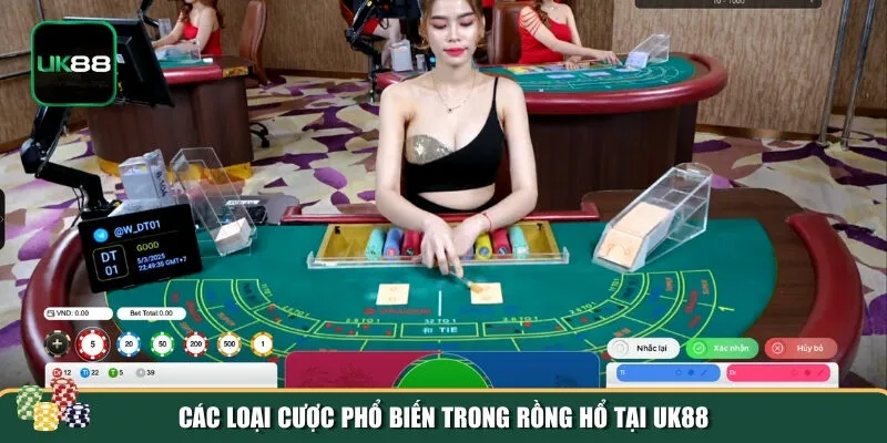 Các cửa cược trong game Rồng Hổ tại UK88 Các cửa cược trong game Rồng Hổ tại UK88