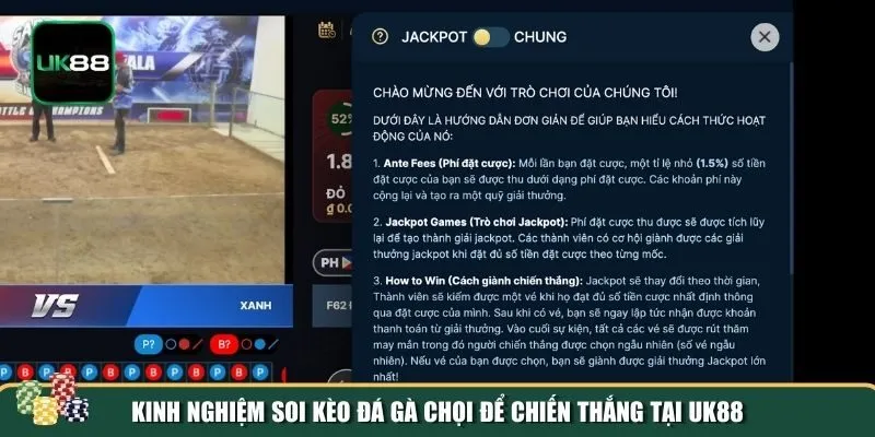 Kinh nghiệm đặt cược đá gà chọi từ cao thủ UK88 Kinh nghiệm đặt cược đá gà chọi từ cao thủ UK88