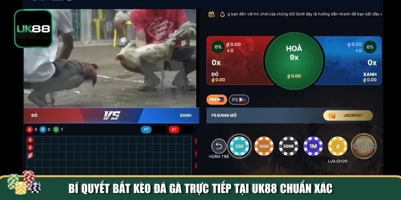 Bí quyết bắt kèo đá gà trực tiếp UK88 Bí quyết bắt kèo đá gà trực tiếp UK88