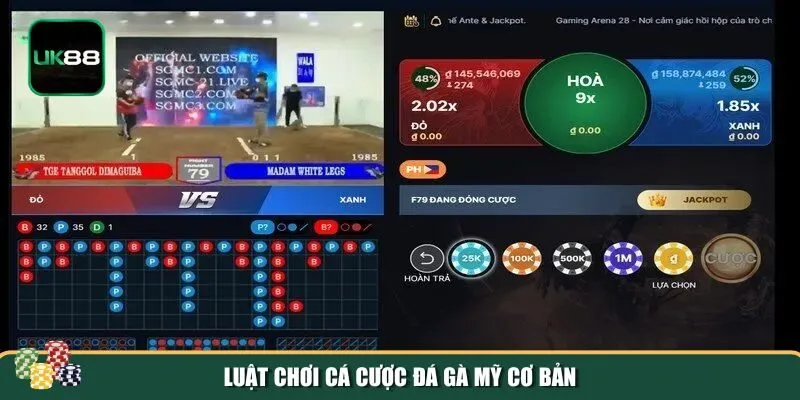 da ga my 1 Đá gà Mỹ là một trong những hình thức đá gà phổ biến nhất