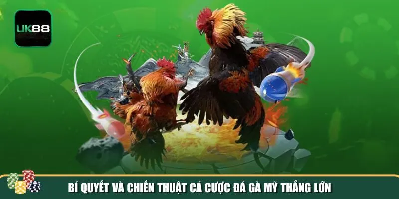 da ga my 3 Bí quyết để tối ưu hóa khả năng chiến thắng khi tham gia cá cược đá gà Mỹ